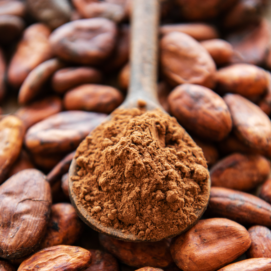 Bebidas de Cacao | Cacao en polvo natural